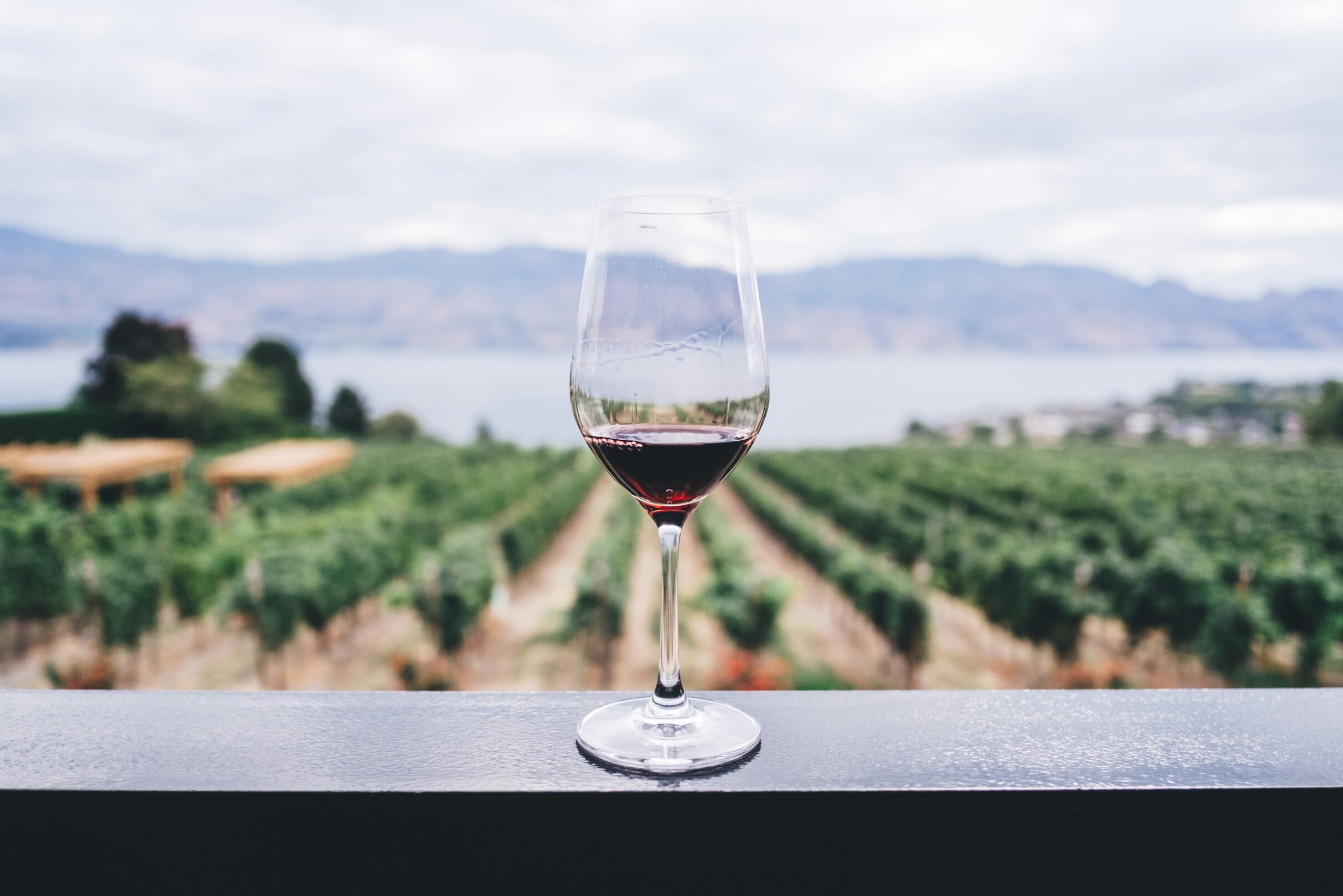 Premium wine collection